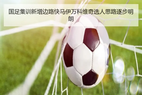 国足集训新增边路快马伊万科维奇选人思路逐步明朗